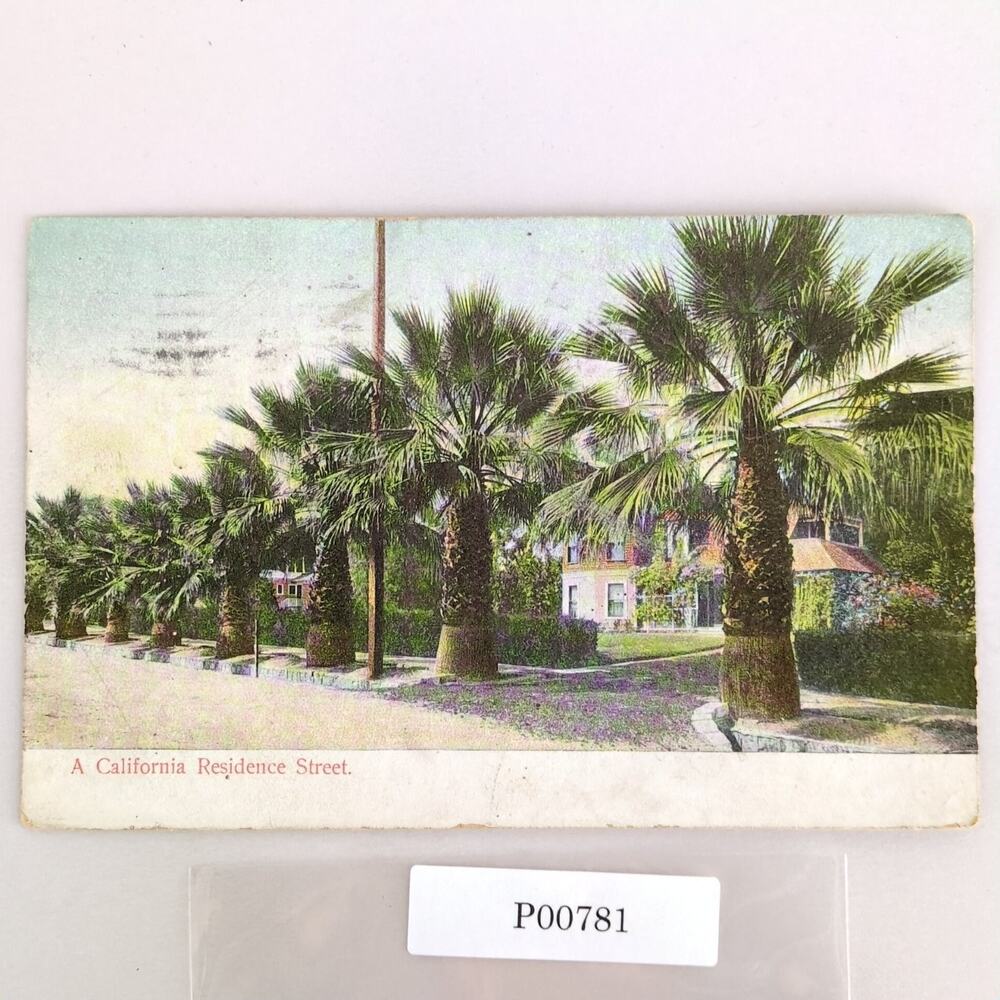 A California Residence Street San Diego CA Early 1900s Postcard 1908